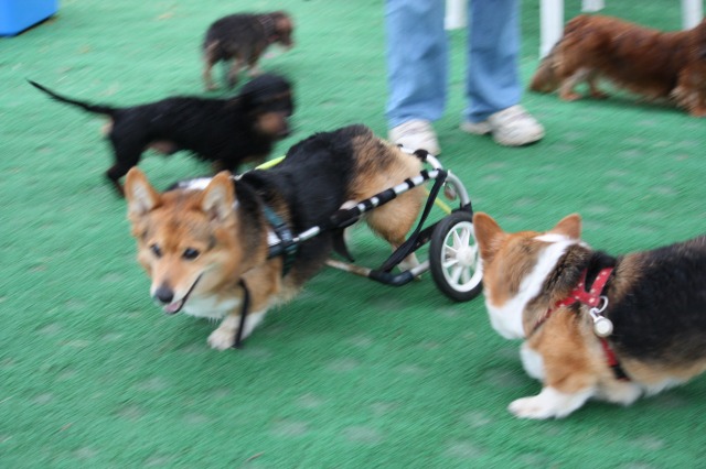 640×480-IMG_3067.jpg