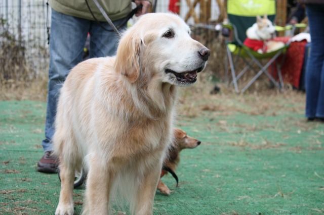 640×480-IMG_3932.jpg