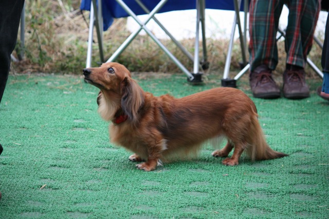 640×480-IMG_3938.jpg