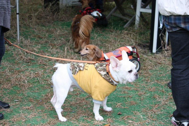 640×480-IMG_3951.jpg