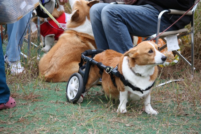 640×480-IMG_3954.jpg