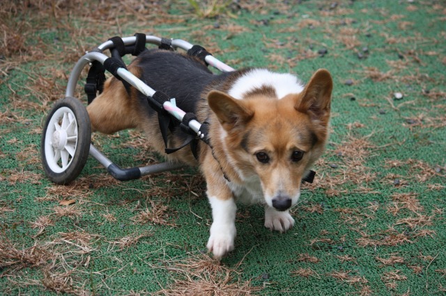 640×480-IMG_3978.jpg