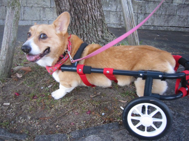 640×480-IMG_4556.jpg