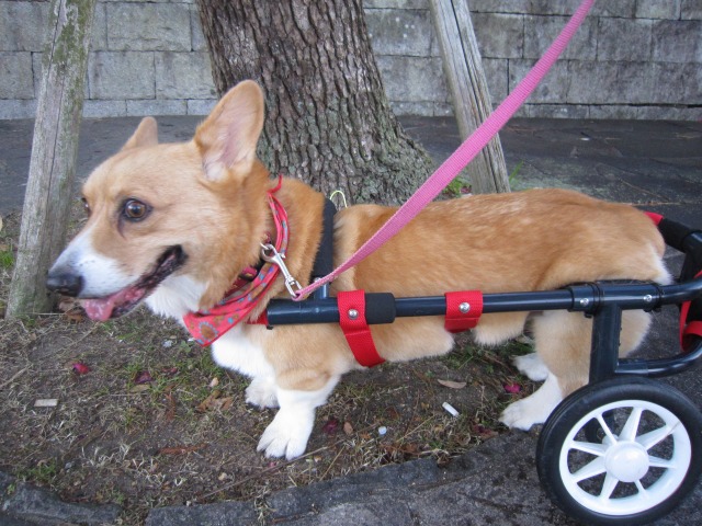 640×480-IMG_4558.jpg