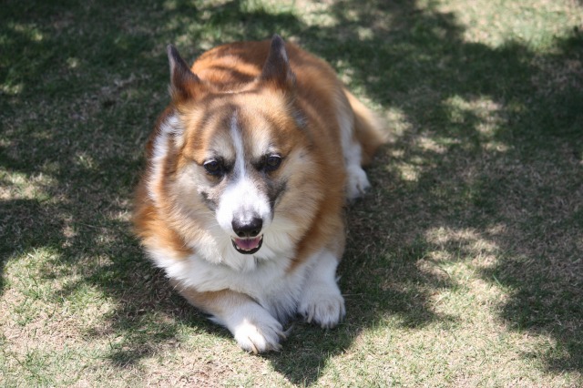 640×480-IMG_4690.jpg