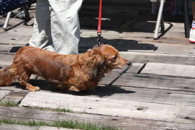 640×480-IMG_4691.jpg