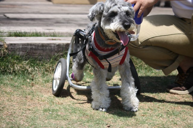 640×480-IMG_4741.jpg
