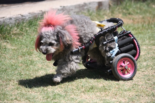 640×480-IMG_4789.jpg