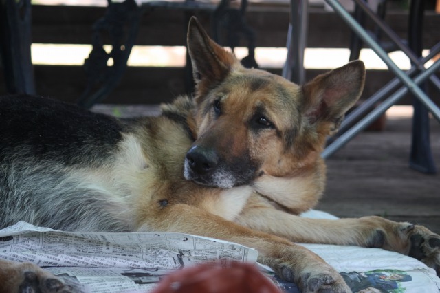 640×480-IMG_4791.jpg