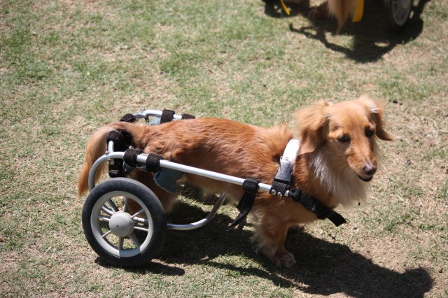 640×480-IMG_4792.jpg