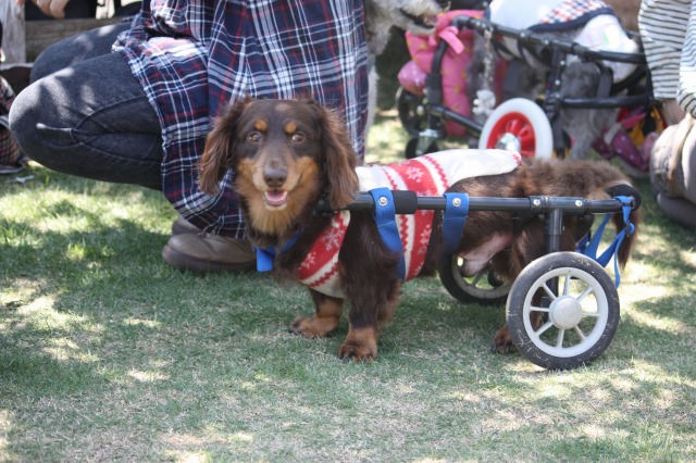 640×480-IMG_4795.jpg