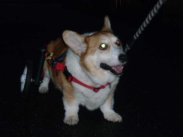 640×480-P1000520.jpg