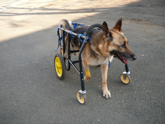 640×480-P1070591.jpg