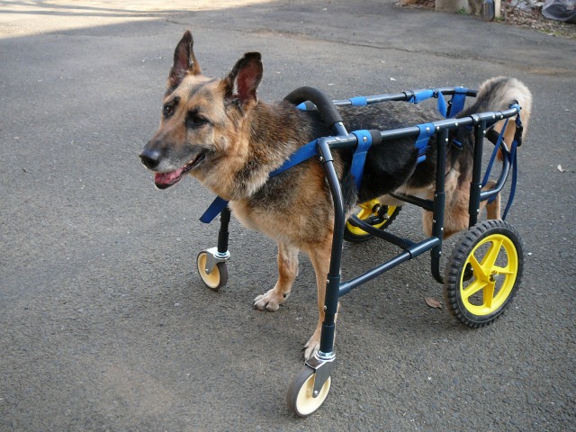 640×480-P1070597.jpg