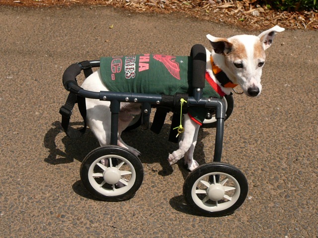 640×480-P1070932.jpg