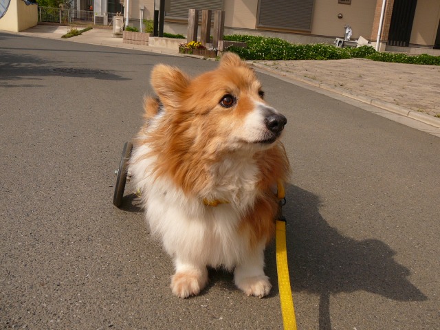 640×480-P1070952.jpg