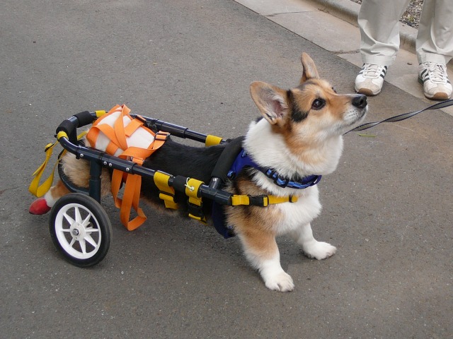 640×480-P1080134.jpg