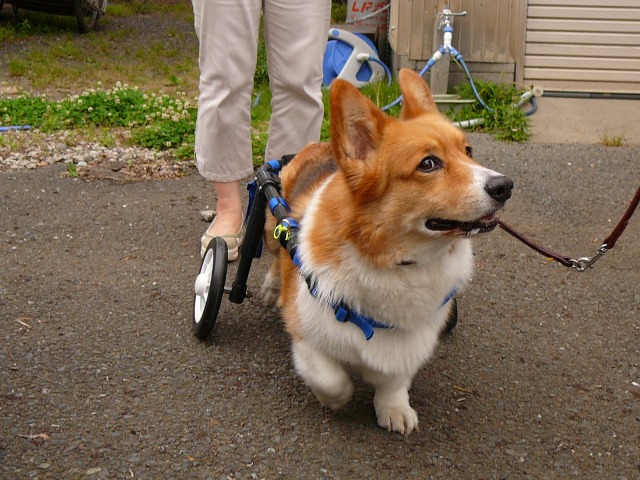640×480-P1080210.jpg