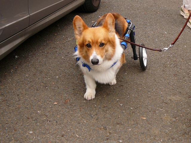 640×480-P1080211.jpg