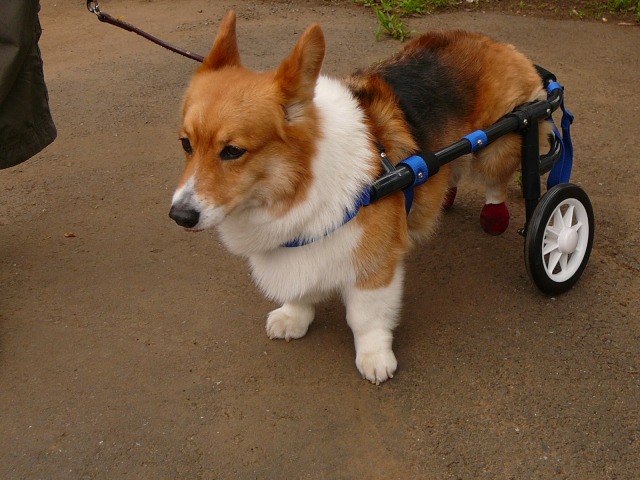640×480-P1080215.jpg