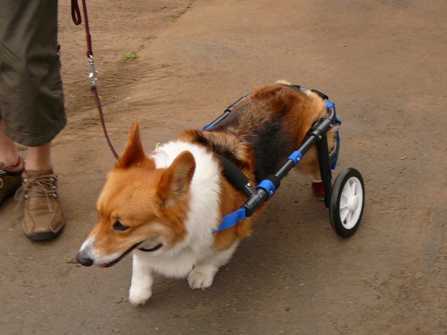 640×480-P1080216.jpg