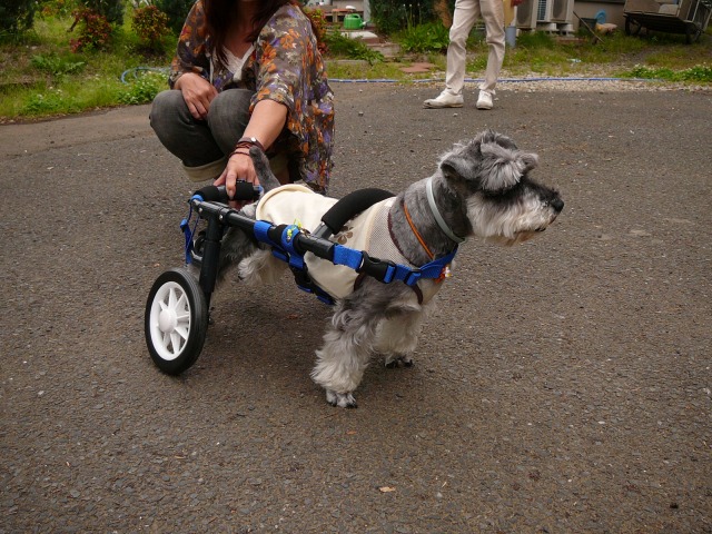 640×480-P1080219.jpg