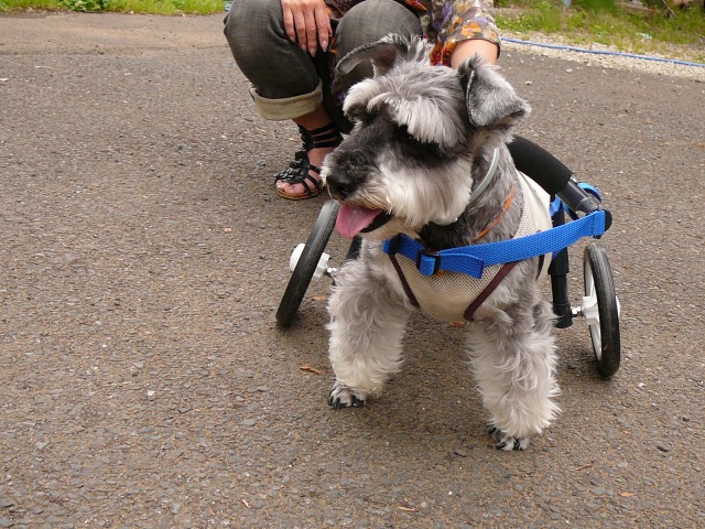 640×480-P1080222.jpg