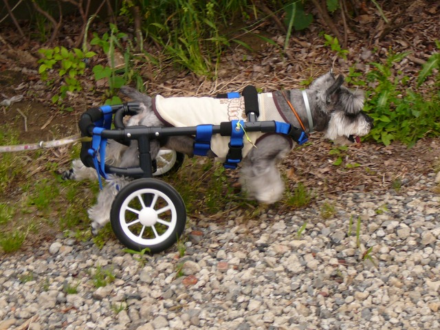 640×480-P1080231.jpg