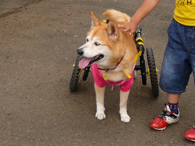 640×480-P1080255.jpg