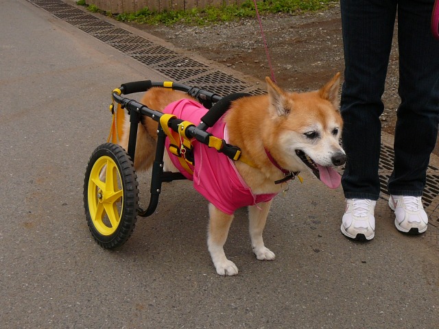 640×480-P1080260.jpg