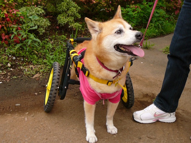 640×480-P1080265.jpg