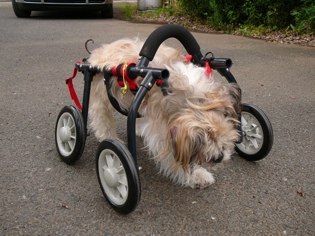 640×480-P1080308.jpg