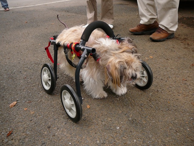 640×480-P1080311.jpg