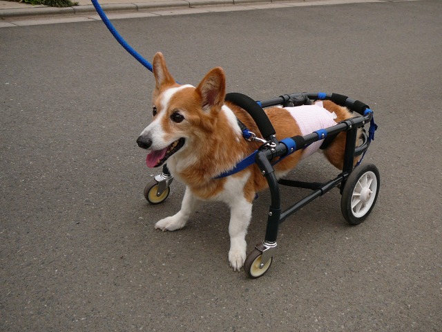 640×480-P1080369.jpg
