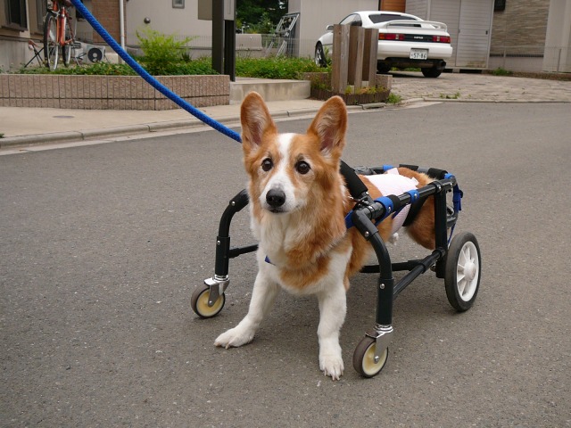 640×480-P1080371.jpg