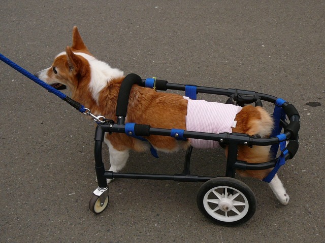 640×480-P1080374.jpg