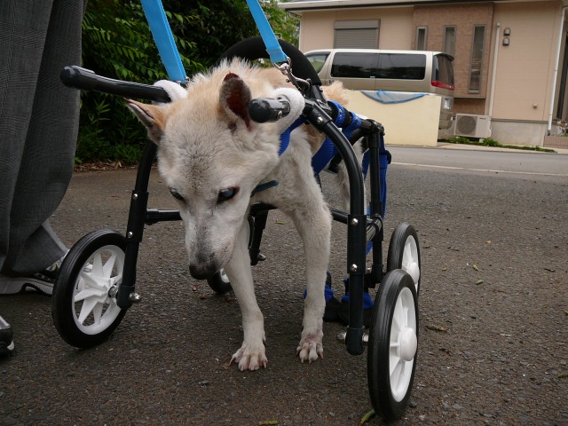 640×480-P1080379.jpg