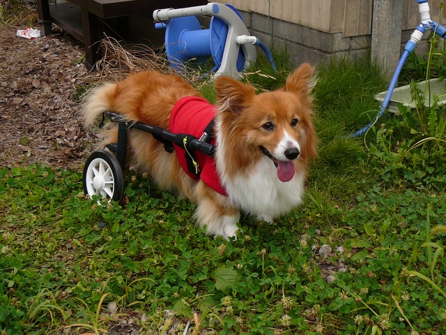 640×480-P1080426.jpg