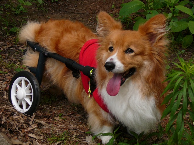 640×480-P1080429.jpg