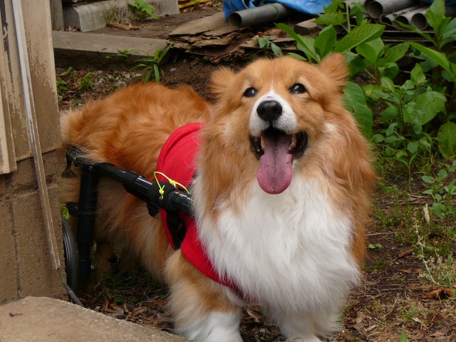 640×480-P1080432.jpg