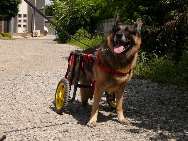 640×480-P1080539.jpg