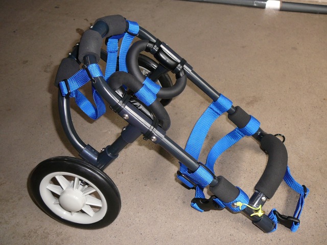 640×480-P1080581.jpg
