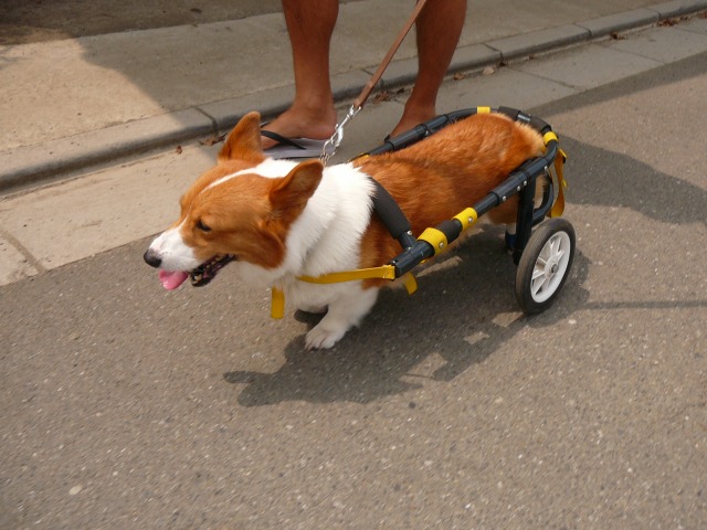 640×480-P1080689.jpg