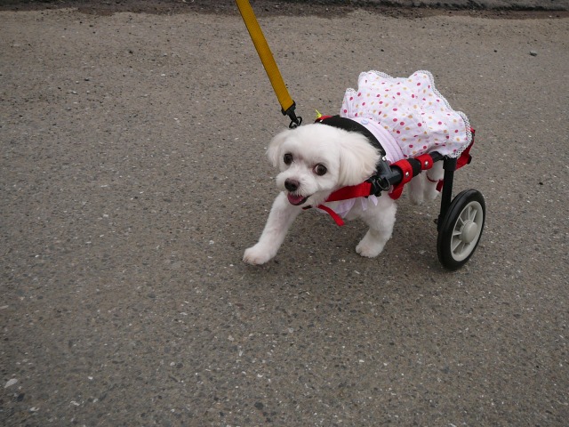 640×480-P1080735.jpg