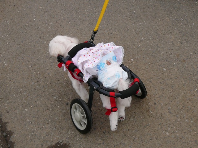 640×480-P1080738.jpg