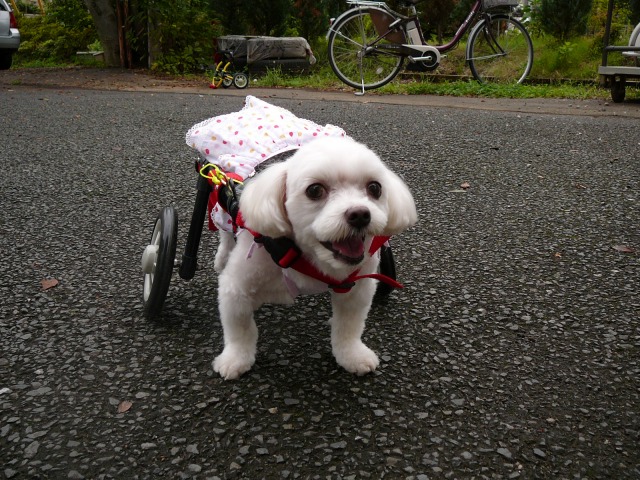 640×480-P1080739.jpg