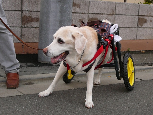 640×480-P1080865.jpg