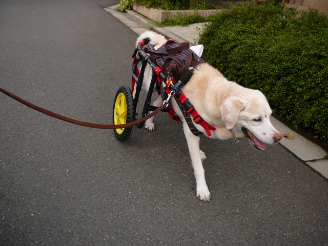 640×480-P1080867.jpg