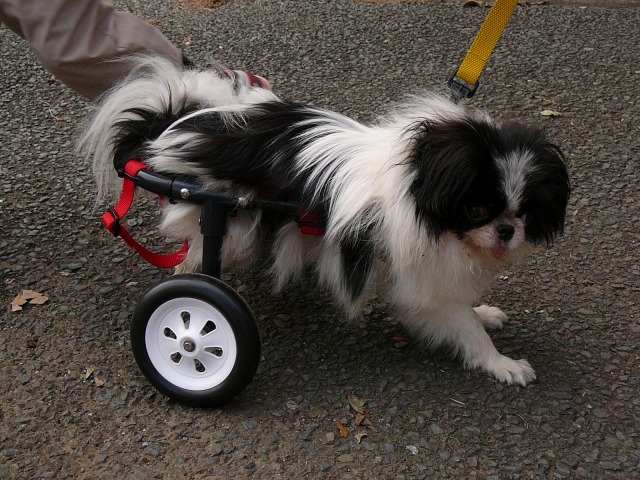 640×480-P1080980.jpg