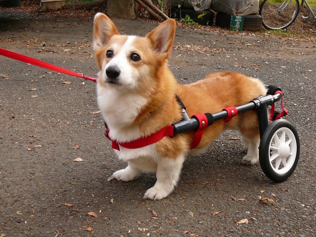 640×480-P1090109.jpg